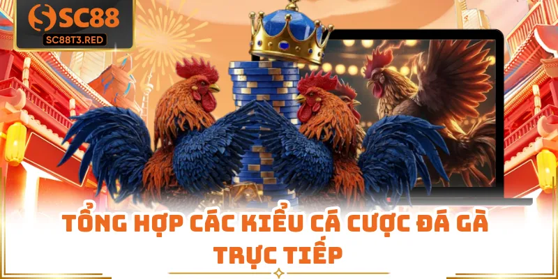 Tổng hợp các kiểu cá cược đá gà trực tiếp